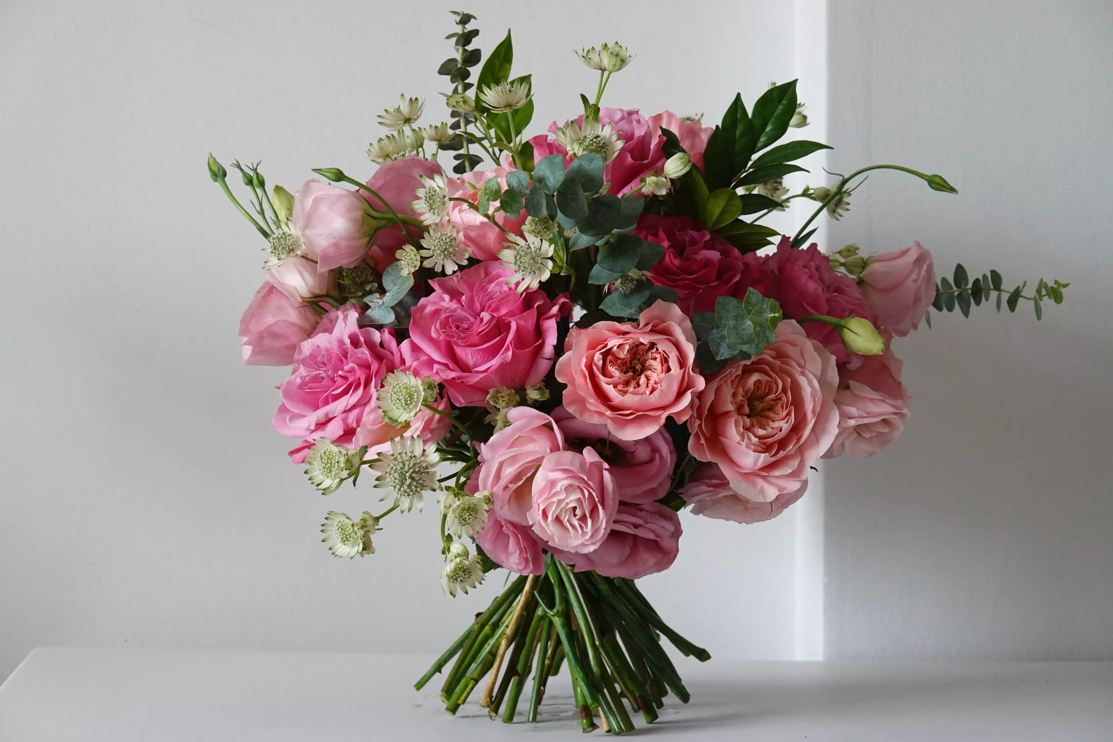 Rose Eternelle